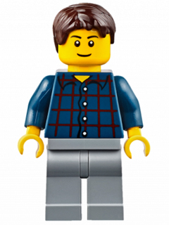 Plaid Button Shirt, Light Bluish Gray Legs, Dark Brown Short Tousled Hair
