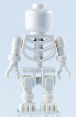 Skeleton - Plain Head
