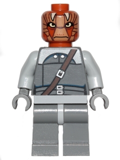 Nikto Guard