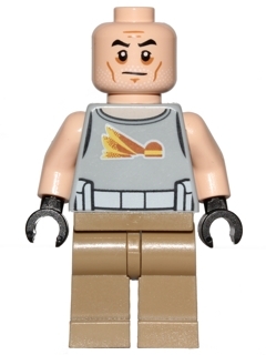 Commander Gregor